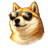 dogecoiner.io